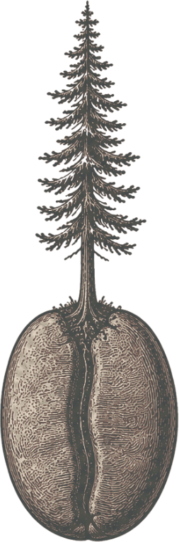 Timberling Coffee Roasters tree and coffee bean mark